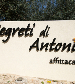 I Segreti Di Antonina